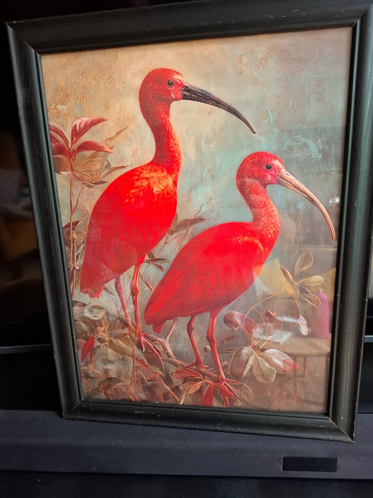 Ingelijste reproductie 2 rode Ibissen van John Audubon, Ophalen of Verzenden