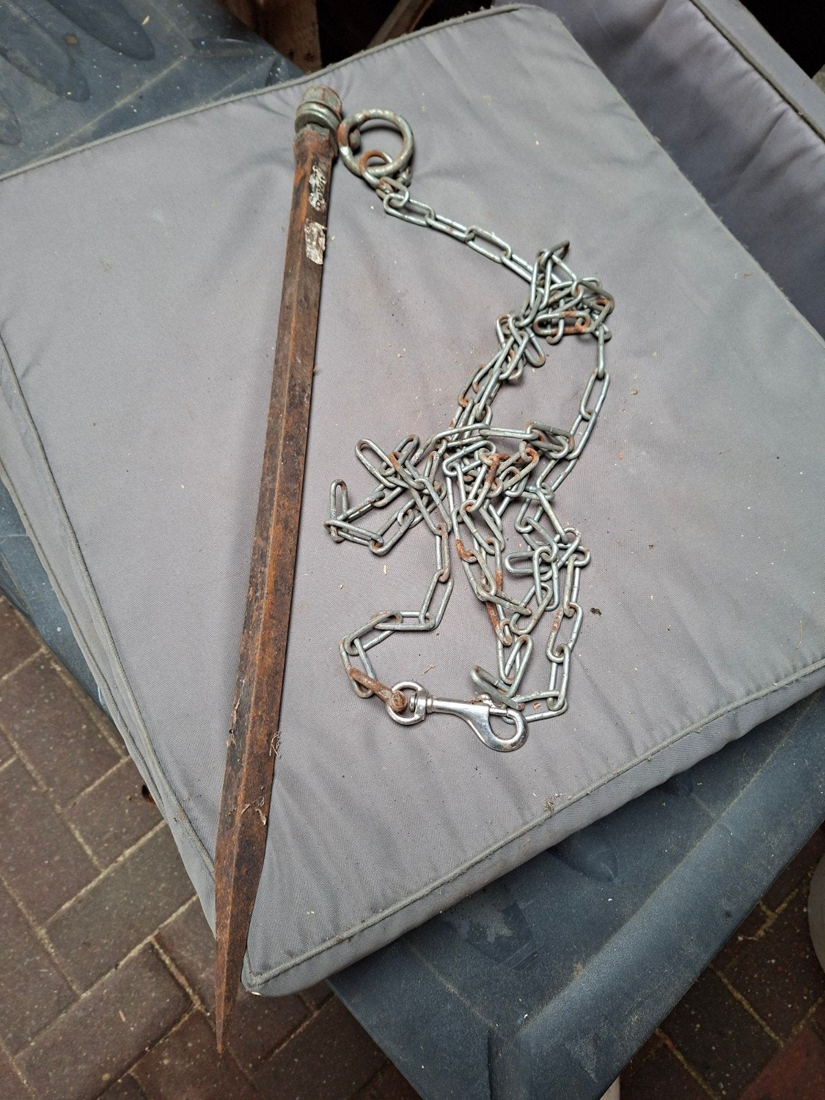 pen incl. ketting, Dieren en Toebehoren, Mannelijk, Geit