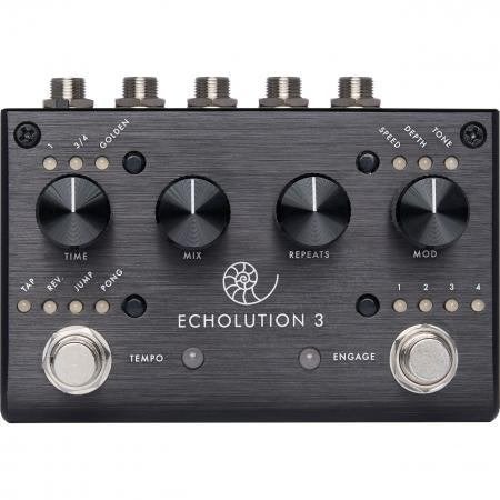 Pigtronix Echolution Delay + Remote + TRS Cable, Ophalen of Verzenden, Zo goed als nieuw, Delay of Echo