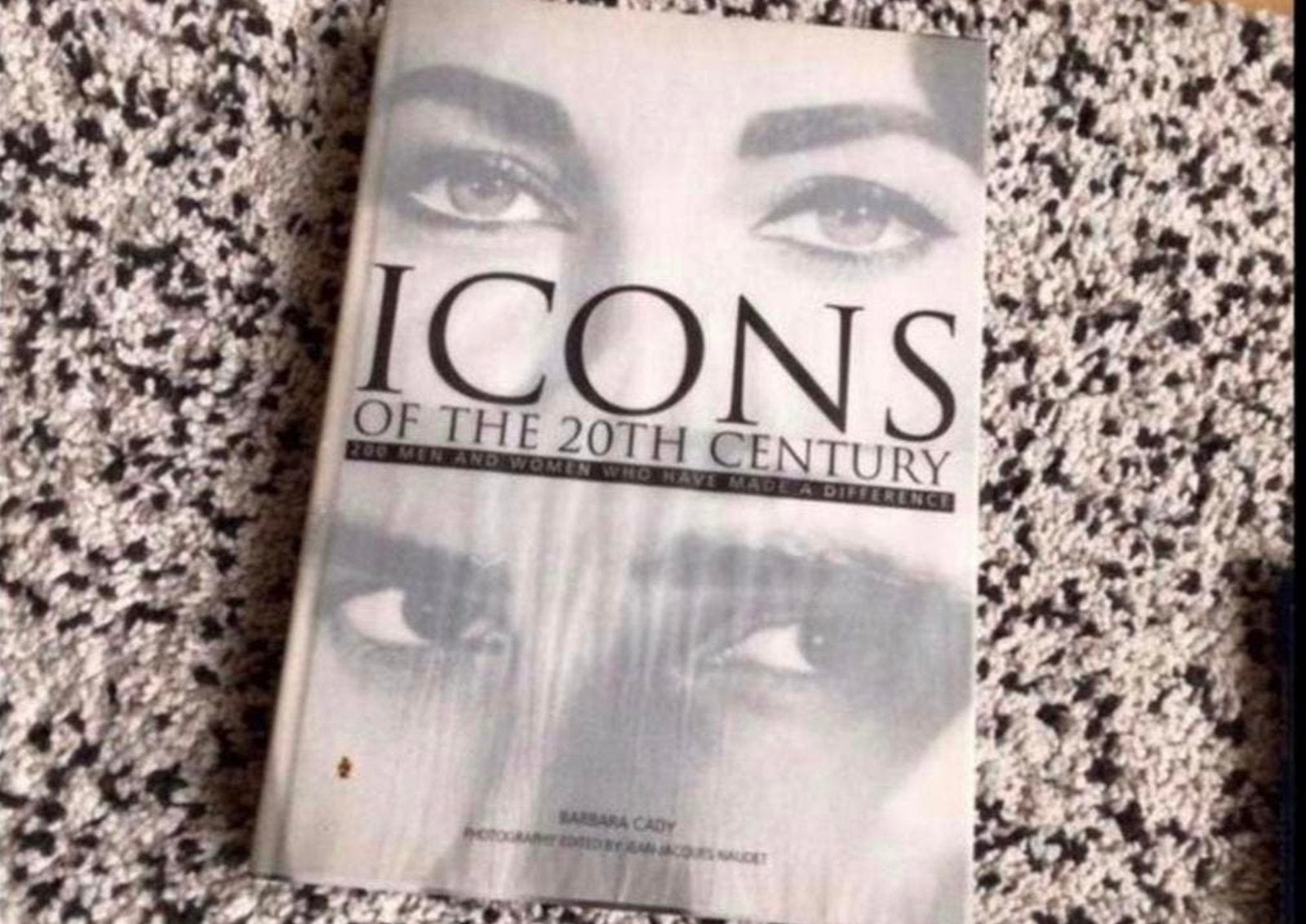 Boek met bekende mensen ICONEN, Ophalen of Verzenden, Zo goed als nieuw
