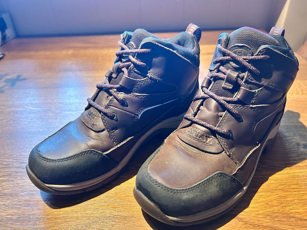 IN PRIJS VERLAAGD: Ariat waterdichte schoenen, Nijkerk, Www.ariat.nl, Bruin, Ariat