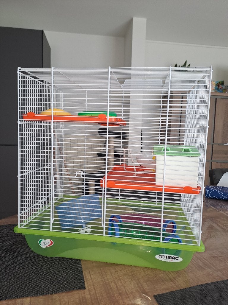 Knaagdiierenhok, Kooi, Minder dan 75 cm, Ophalen, Minder dan 60 cm