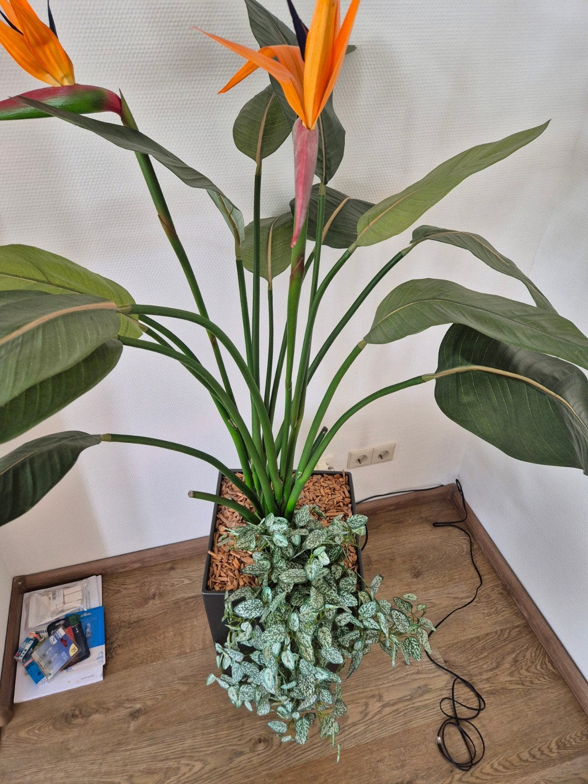 Grote kunstplant Strelitzia met pot en orchideeën, Ophalen, Zo goed als nieuw