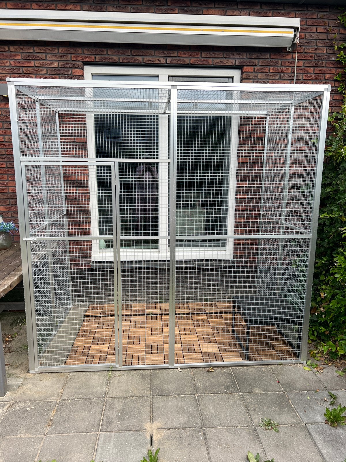 Kattenren of voor kleine huisdieren, Dieren en Toebehoren, Poes