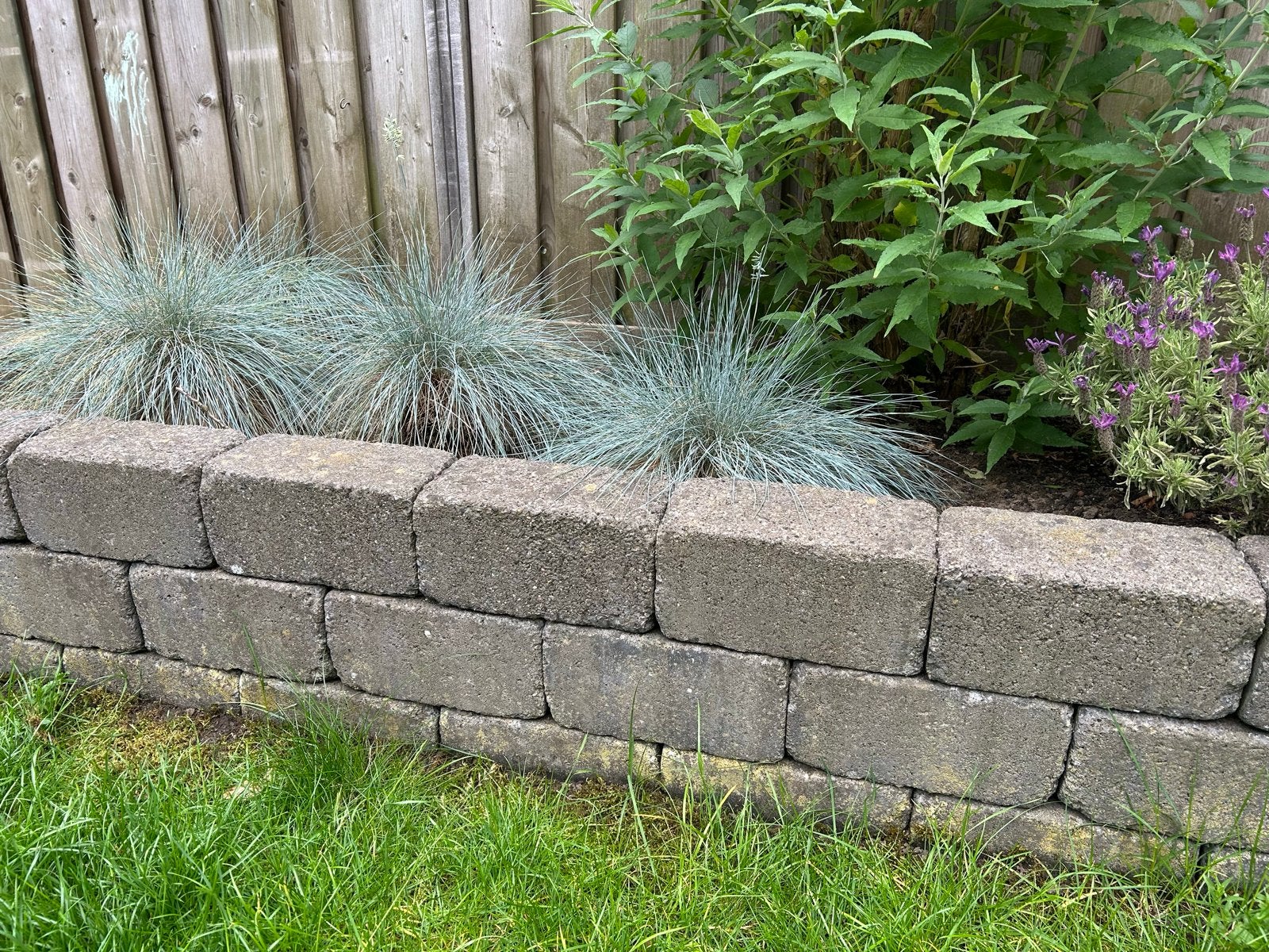 50 Betonnen stapelblokken 30x15x15 cm, Ophalen, Gebruikt, Overige typen, Minder dan 5 m²