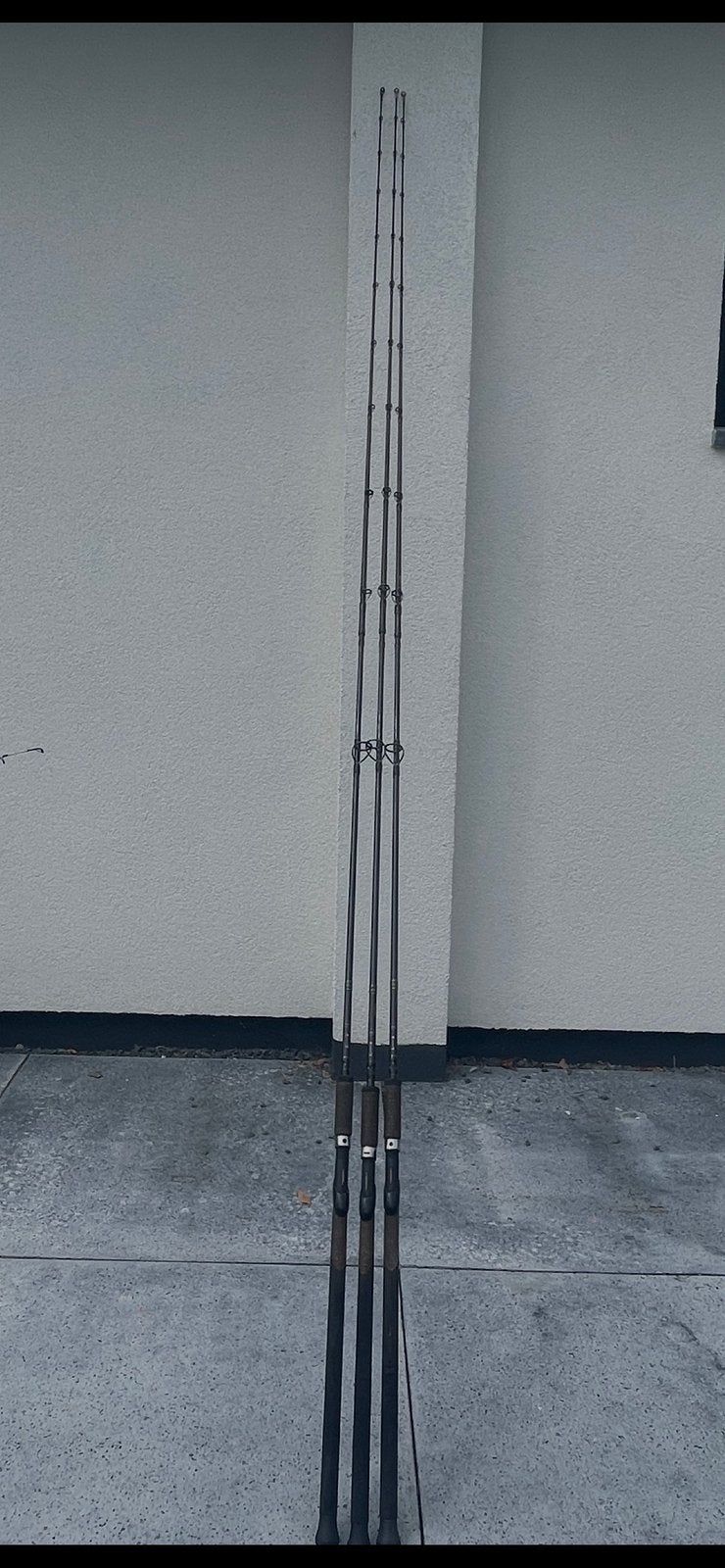 Zeebaars hengels Beastmaster seabass 300 heavy. 3 stuks, Ophalen of Verzenden, Zo goed als nieuw, Werphengel