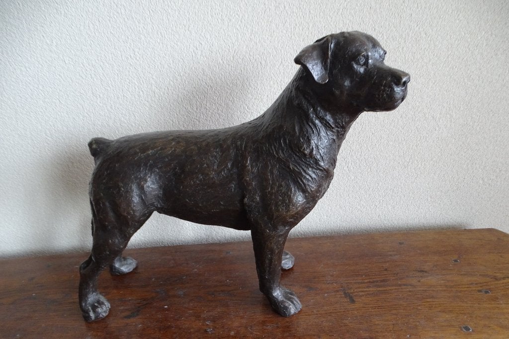 Rottweiler, bronzen beeld, Ophalen, Brons, Beeld, Zoogdier