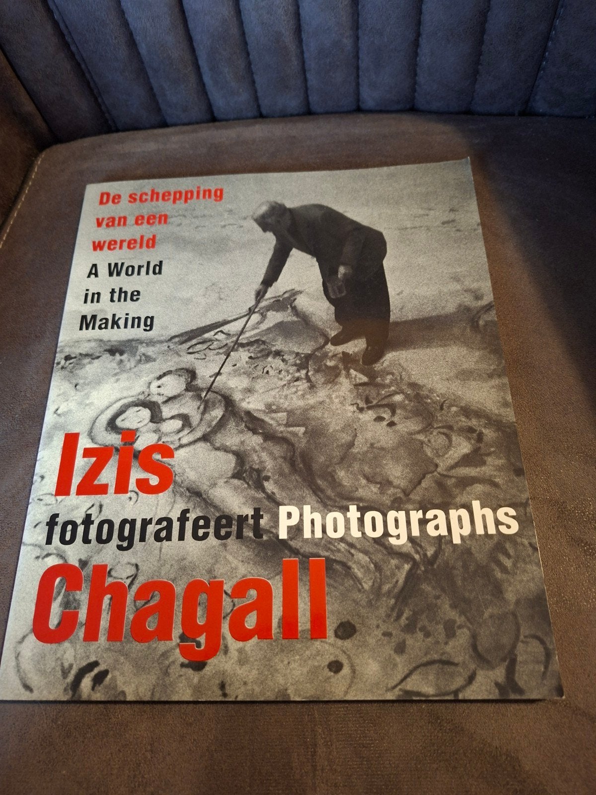 Izis fotografeert Chagall: De schepping van een wereld, Ophalen of Verzenden, Zo goed als nieuw, Fotografen, Izis Bidermanas