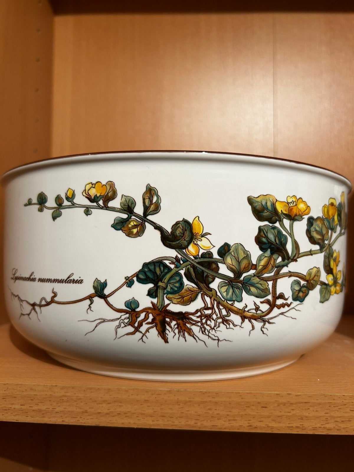 Villeroy en boch botanica servies schaal, Ophalen of Verzenden, Porselein, Landelijk/Boerenbont, Villeroy & Boch