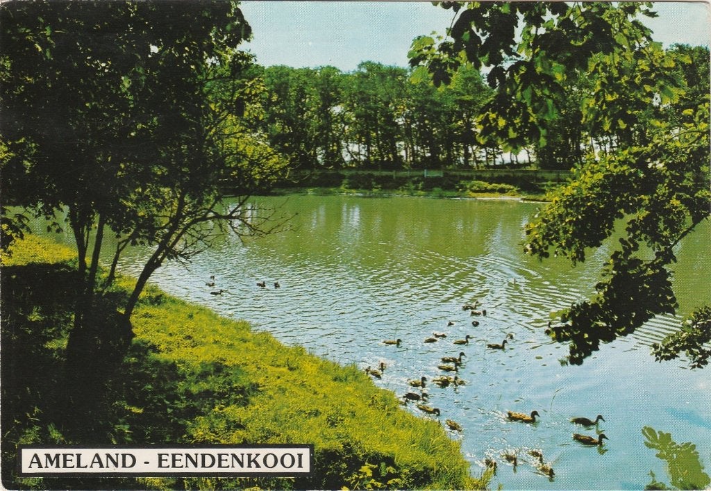 BUREN Ameland Eendenkooi, Verzamelen, Ansichtkaarten | Nederland, Gelopen, Waddeneilanden, 1960 tot 1980, Verzenden