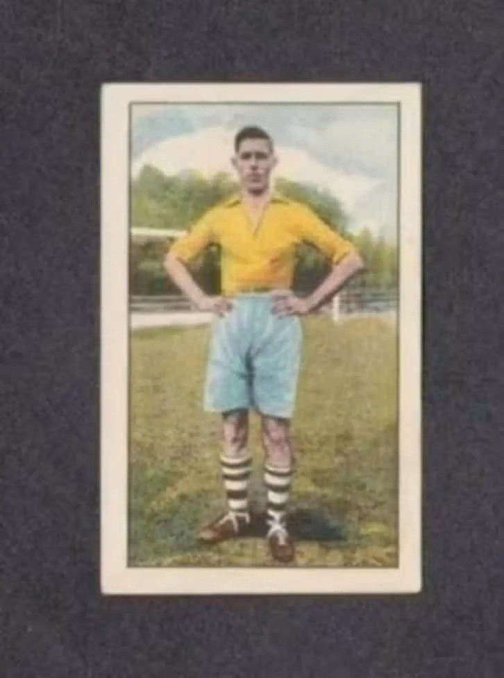 Voetbalplaatje Vogels Picus Eindhoven (167)., Ophalen of Verzenden, Zo goed als nieuw