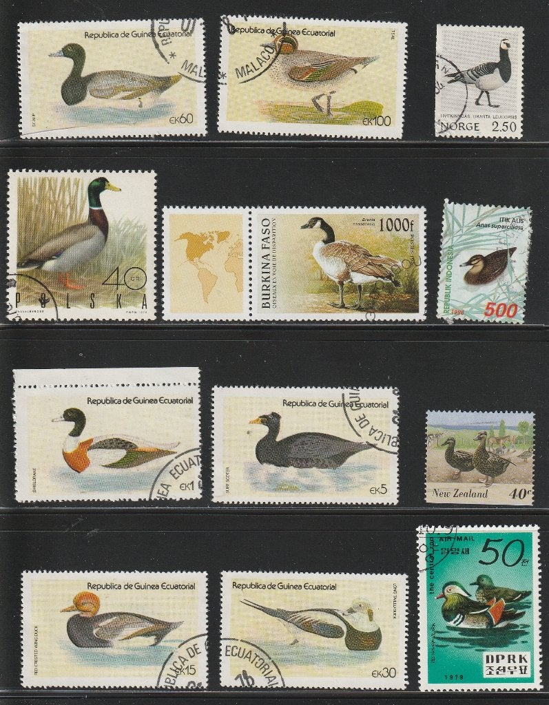 Eenden Kavel nr. 1, Verzenden, Gestempeld, Dier of Natuur