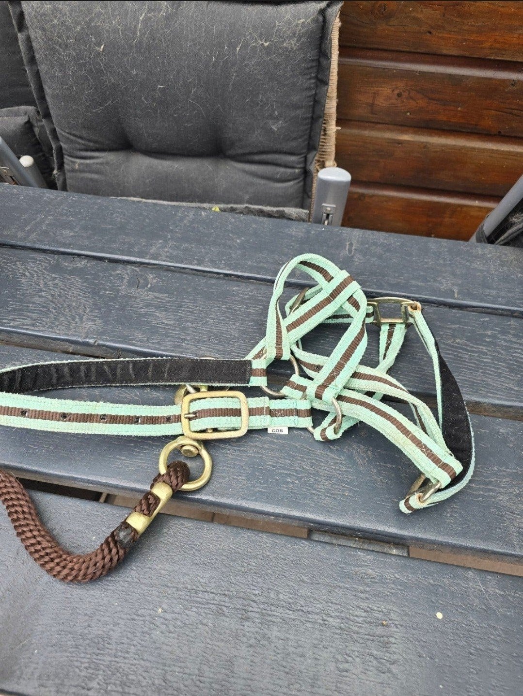 halster  en halsterkoord voor pony, Ophalen of Verzenden