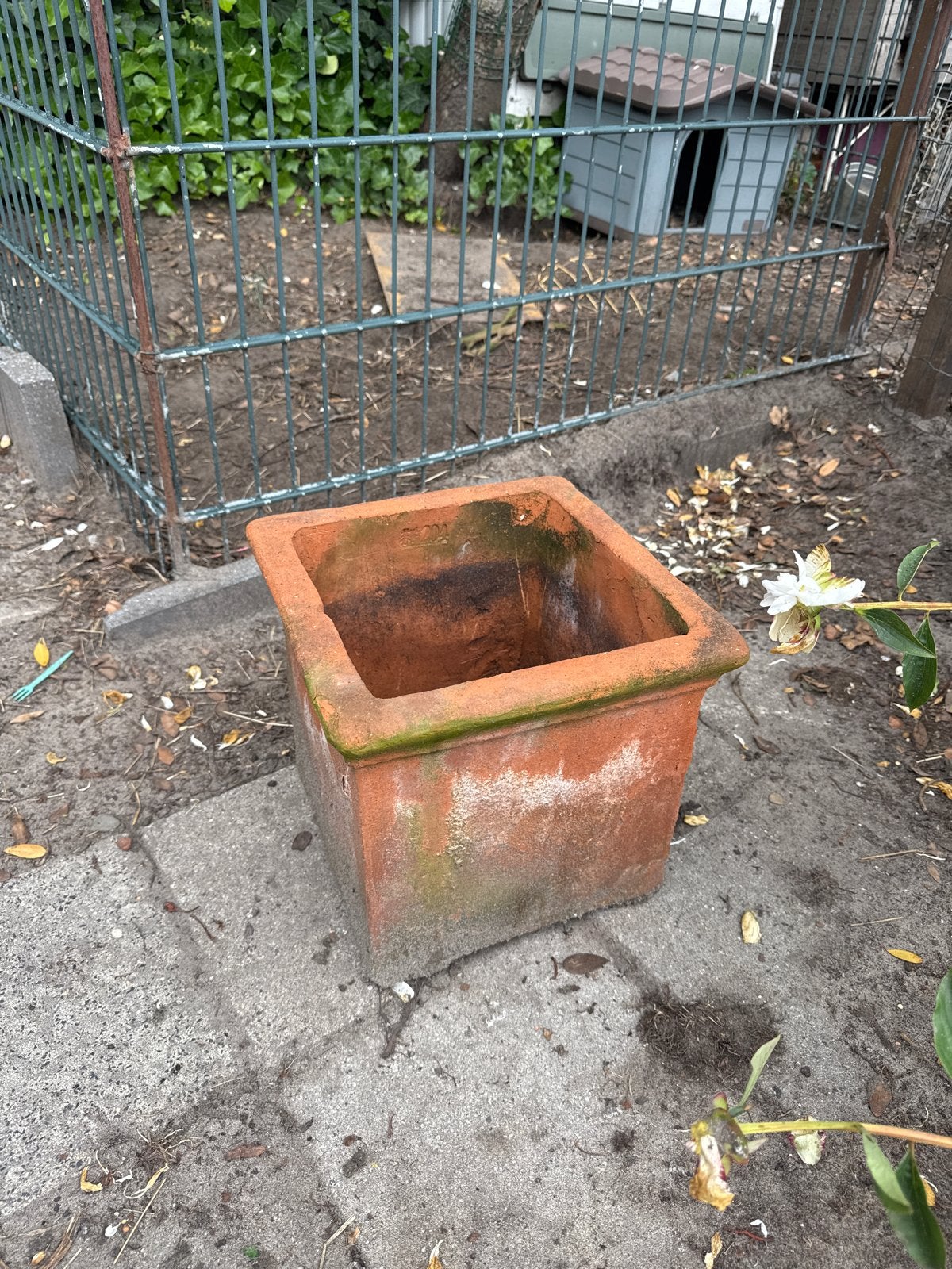 Mooie vierkante terracotta bloempot, Tuin en Terras, Gebruikt, Vierkant, Binnen, Ophalen of Verzenden
