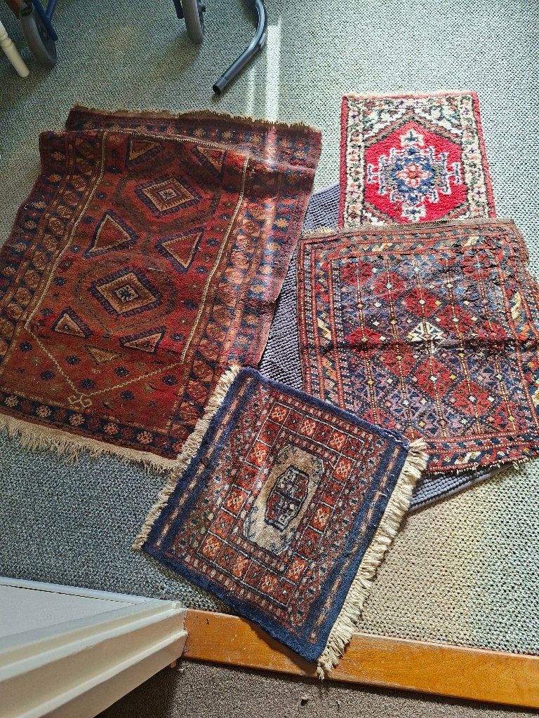 tafelloper perzich, Ophalen