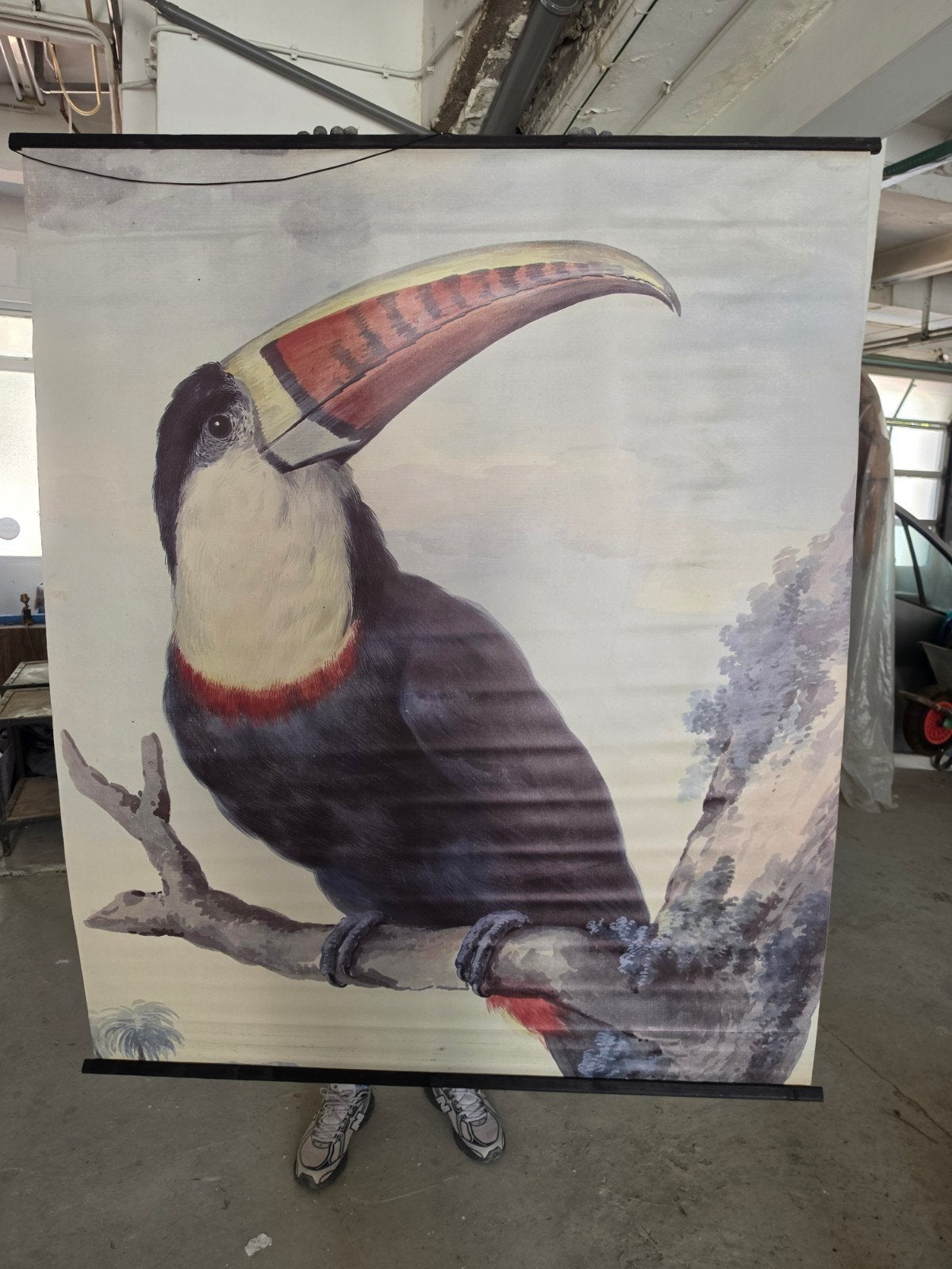 Groot wandkleed toekan 139 x 170 cm. botanisch / vintage, Ophalen, Gebruikt, 125 cm of meer, Schilderij