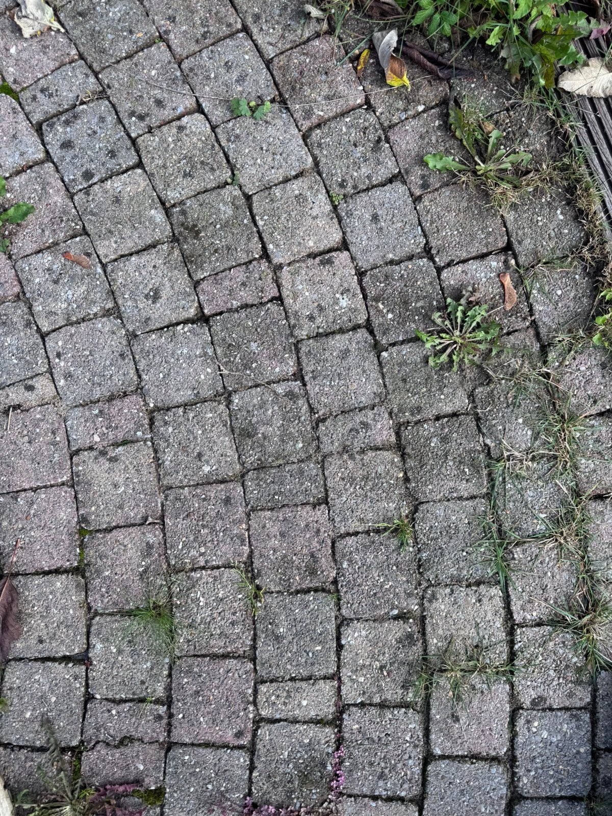 Koppelstones, gratis af te halen!, Ophalen, Zo goed als nieuw, Beton, Klinkers