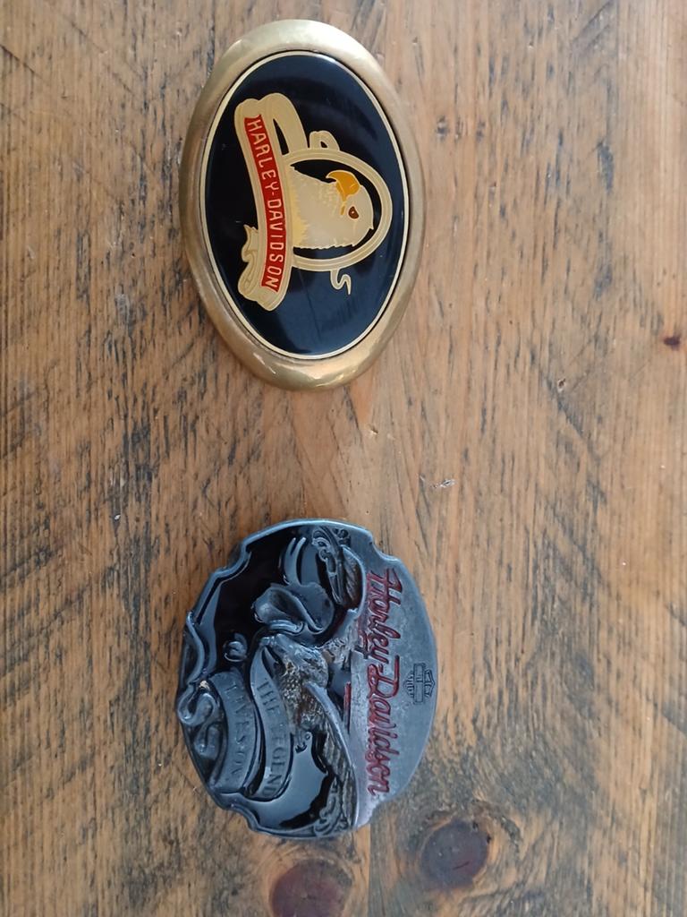 Belt buckle harley davidson, Ophalen of Verzenden