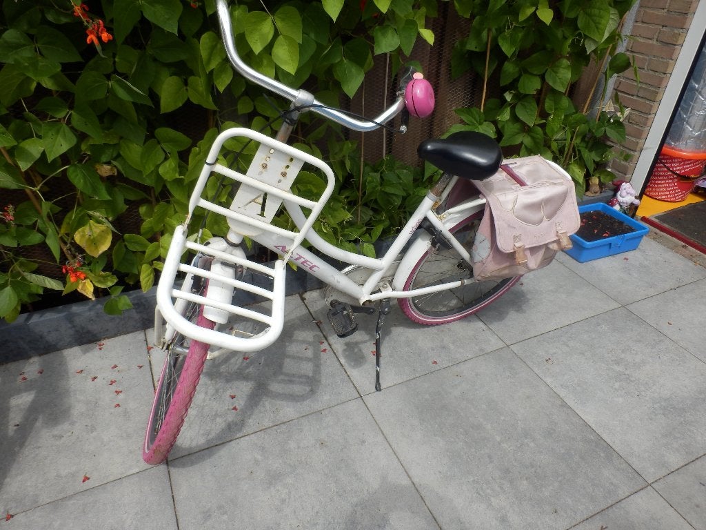meisjesfiets, Fietsen en Brommers, Terugtraprem, Gebruikt, 20 inch, Ophalen