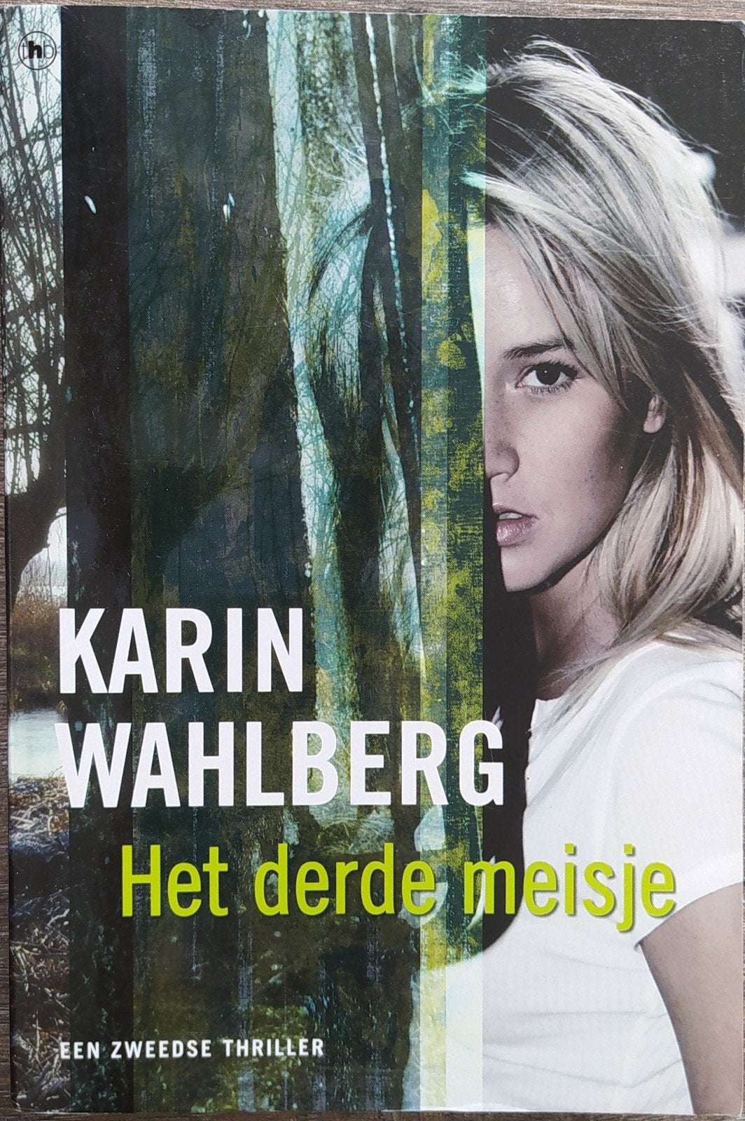 Karin Wahlberg - Het Derde Meisje (Zweedse thriller), Scandinavië, Ophalen of Verzenden, Zo goed als nieuw, Karin Wahlberg
