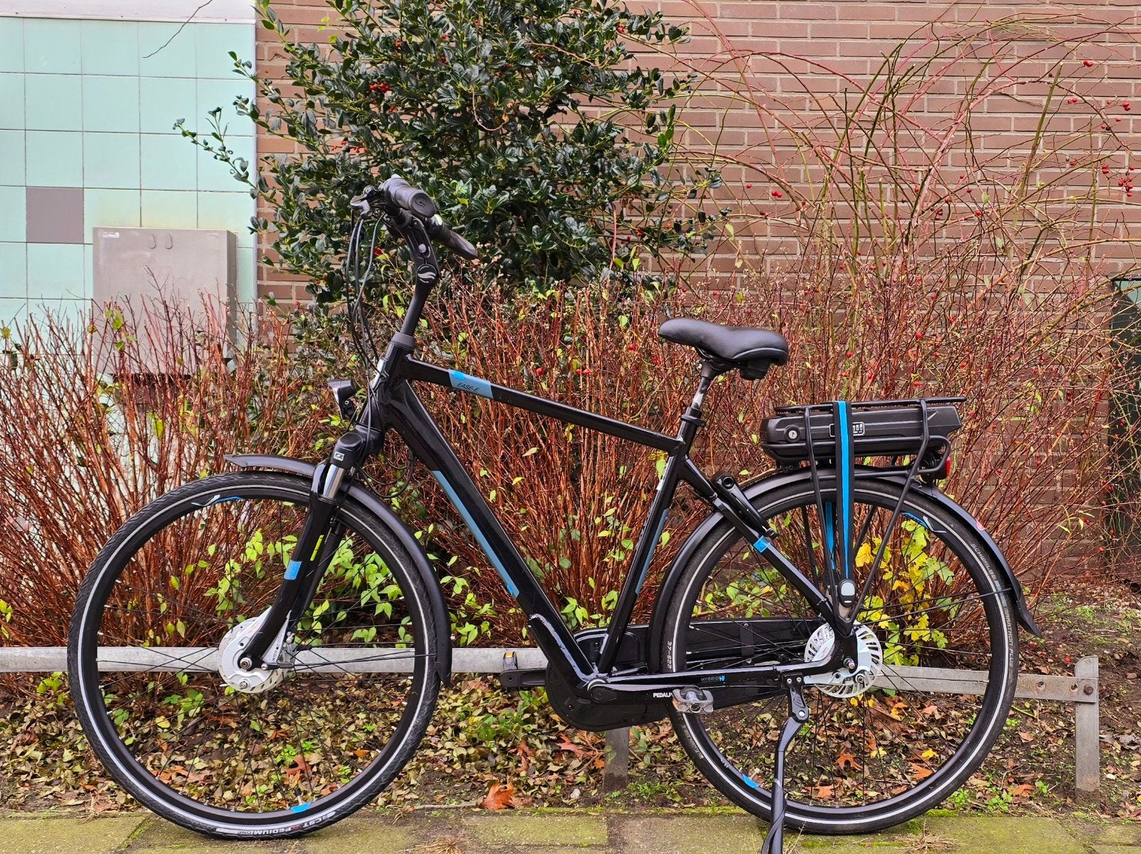 Slechts 1211km! Giant Easy elektrischefiets, Fietsen en Brommers, 55 tot 59 cm, Ophalen, Zo goed als nieuw, Overige merken