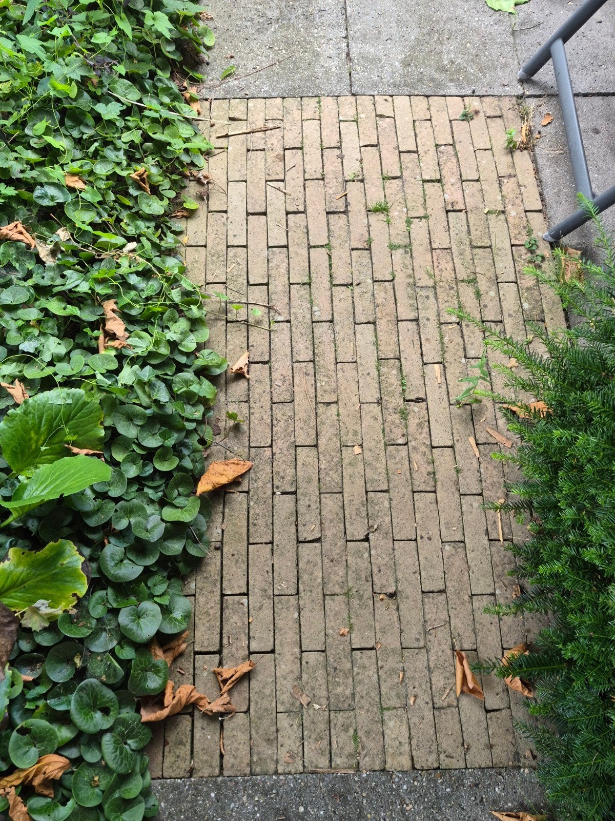 Gebruikte Klinkers - Ideaal voor Tuinpad of Terras, Tuin en Terras, Tegels en Klinkers, Gebruikt, Klinkers, Beton, 5 tot 10 m²