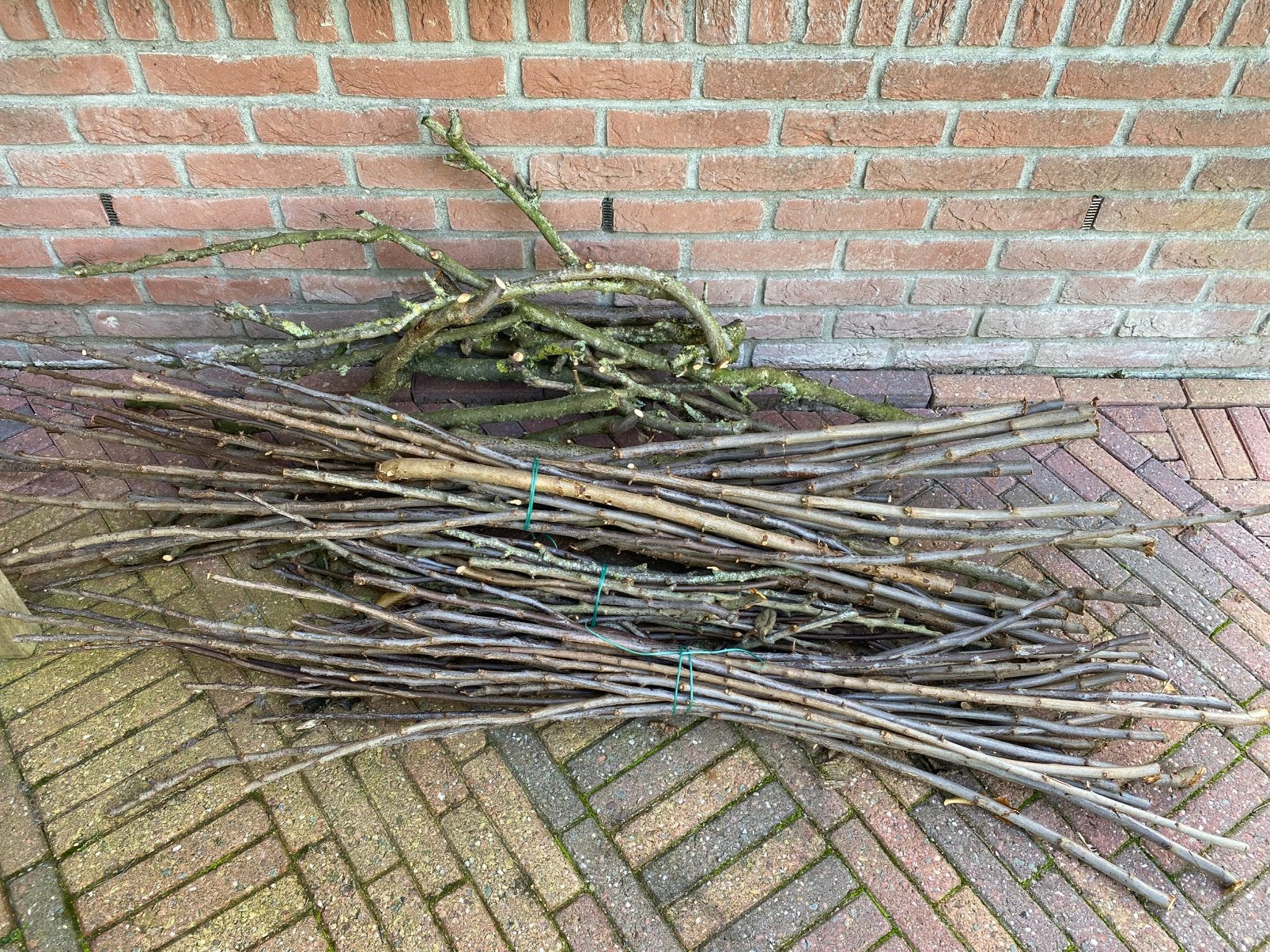 pruimenhout, hout, takken snoeiafval, Tuin en Terras, Minder dan 3 m³, Ophalen