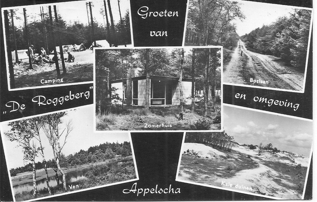 Ansichtkaart Appelscha - De Roggeberg - Gelopen, Ophalen of Verzenden, 1960 tot 1980, Gelopen, Friesland