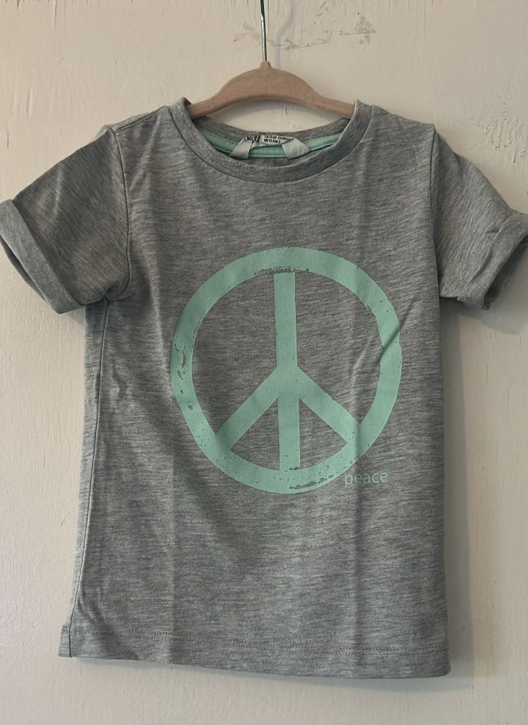 H&M tshirt grijs maat 92, Kinderen en Baby's, Kinderkleding | Maat 92, Verzenden, Jongen of Meisje, H&M, Zo goed als nieuw