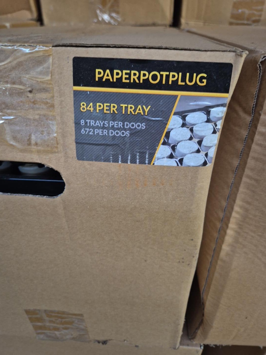 Grote partij Paperpot Plugs – 58 dozen / 38.976 stuks, Ophalen, Gehele jaar, Halfschaduw, Zaad