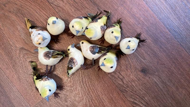 11 nepvogeltjes, Ophalen of Verzenden, Zo goed als nieuw