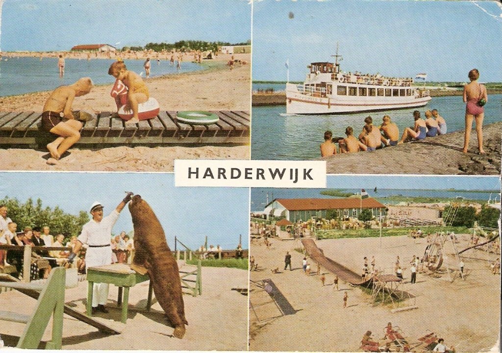 Harderwijk        832a, Verzamelen, Ansichtkaarten | Nederland, Ophalen of Verzenden, Voor 1920, Gelderland