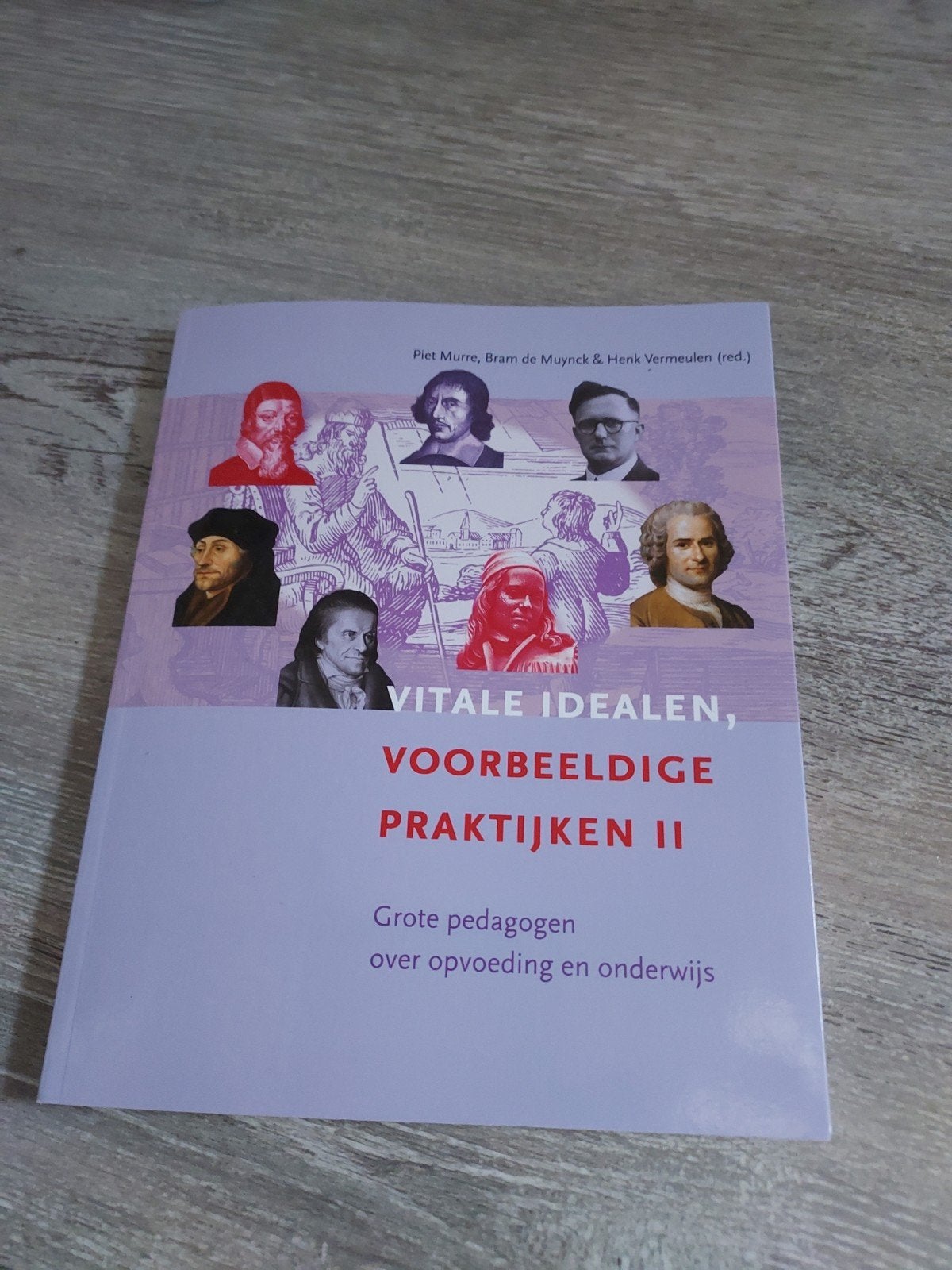 Vitale idealen, voorbeeldige praktijken II - Grote pedagogen, Piet Murre, Bram de Muynck & Henk Vermeulen (red.), Zo goed als nieuw
