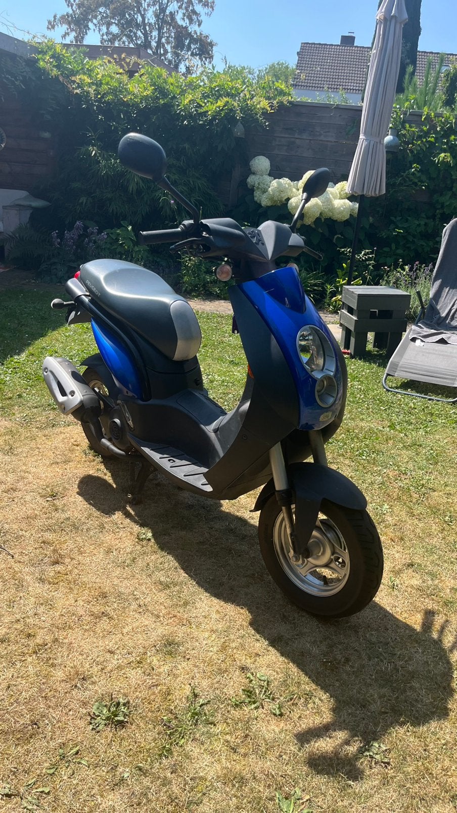 Orginele Peugeot ludix 2 takt, Ophalen, Tweetakt, Ludix, Maximaal 45 km/u