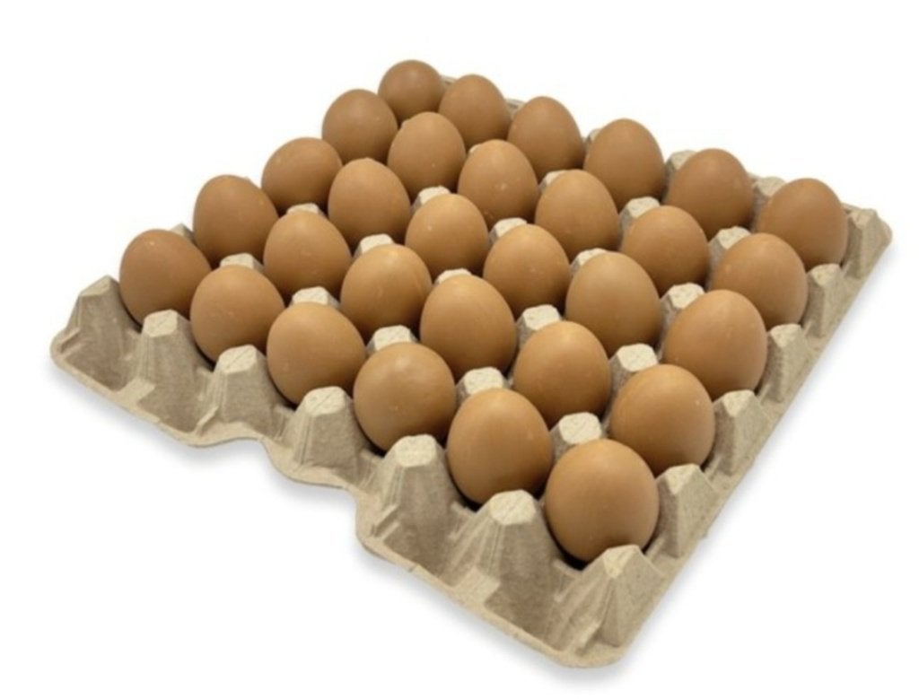 Eiertrays, eierrekken, Geslacht onbekend, Kip