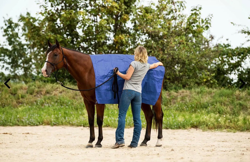 SHOWMASTER huif voor schriktraining, Dieren en Toebehoren, Ophalen of Verzenden, Zo goed als nieuw