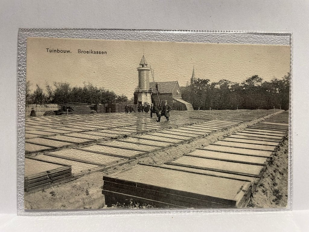 Westland - Tuinbouw - Broeikassen, Verzenden, Ongelopen, Zuid-Holland