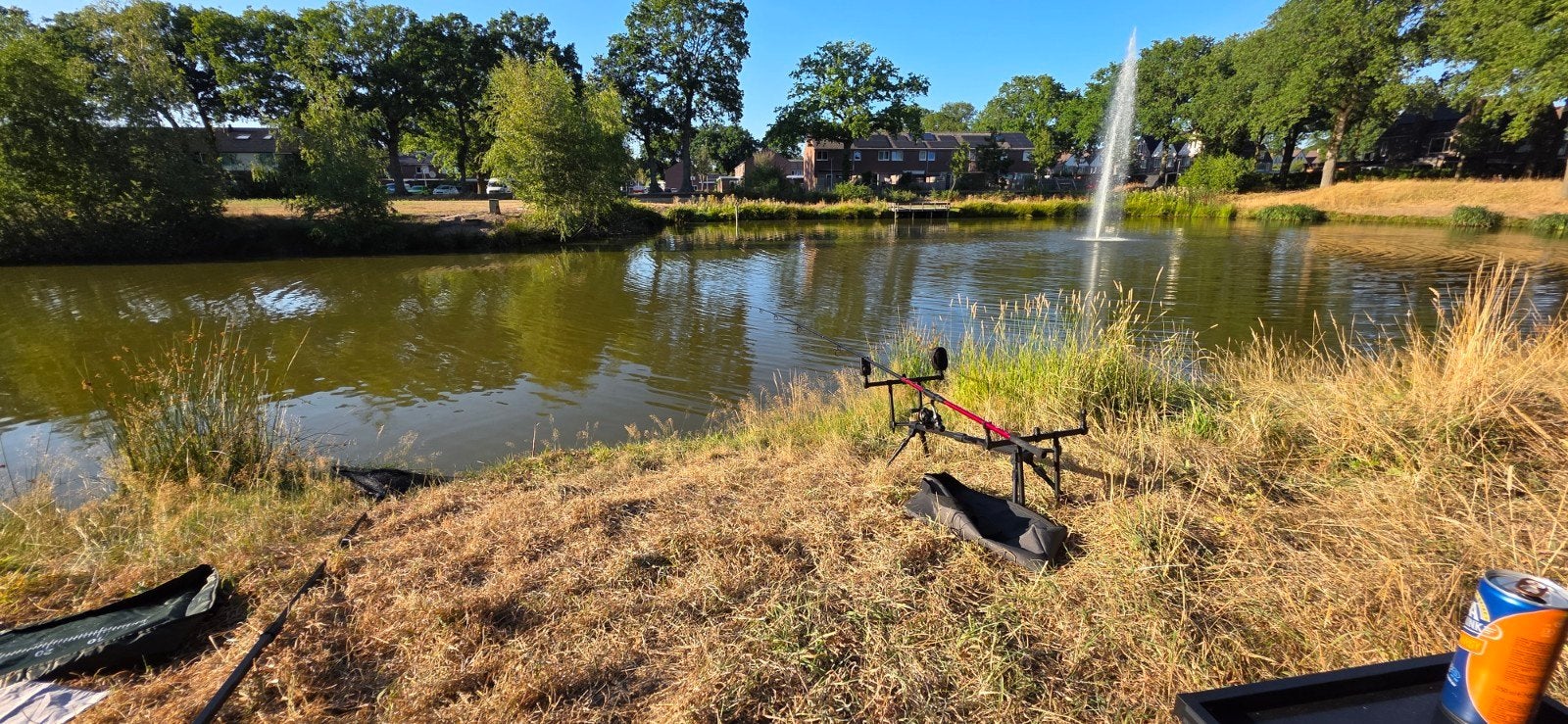 delphin karperhengel vishengel., Watersport en Boten, Hengelsport | Karpervissen, Ophalen of Verzenden, Molen