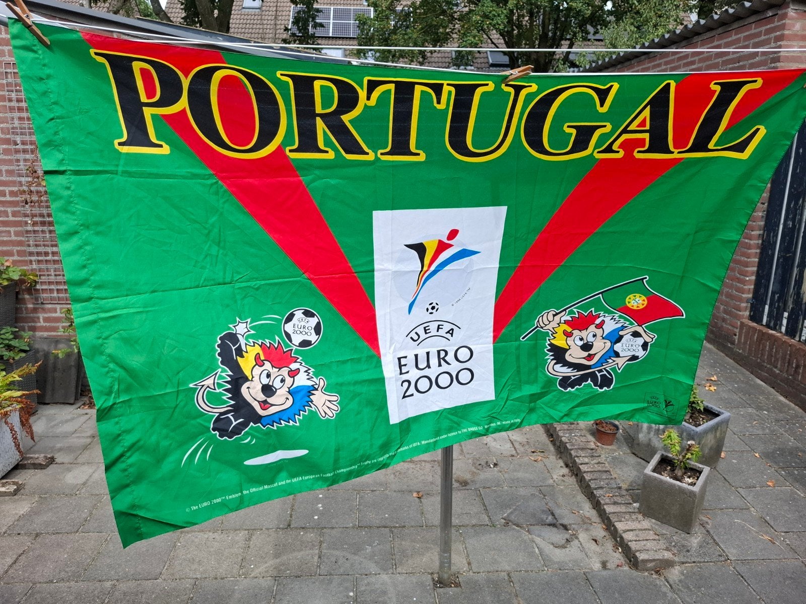 Diversen Euro 2000 landenvlaggen, Ophalen of Verzenden, Zo goed als nieuw