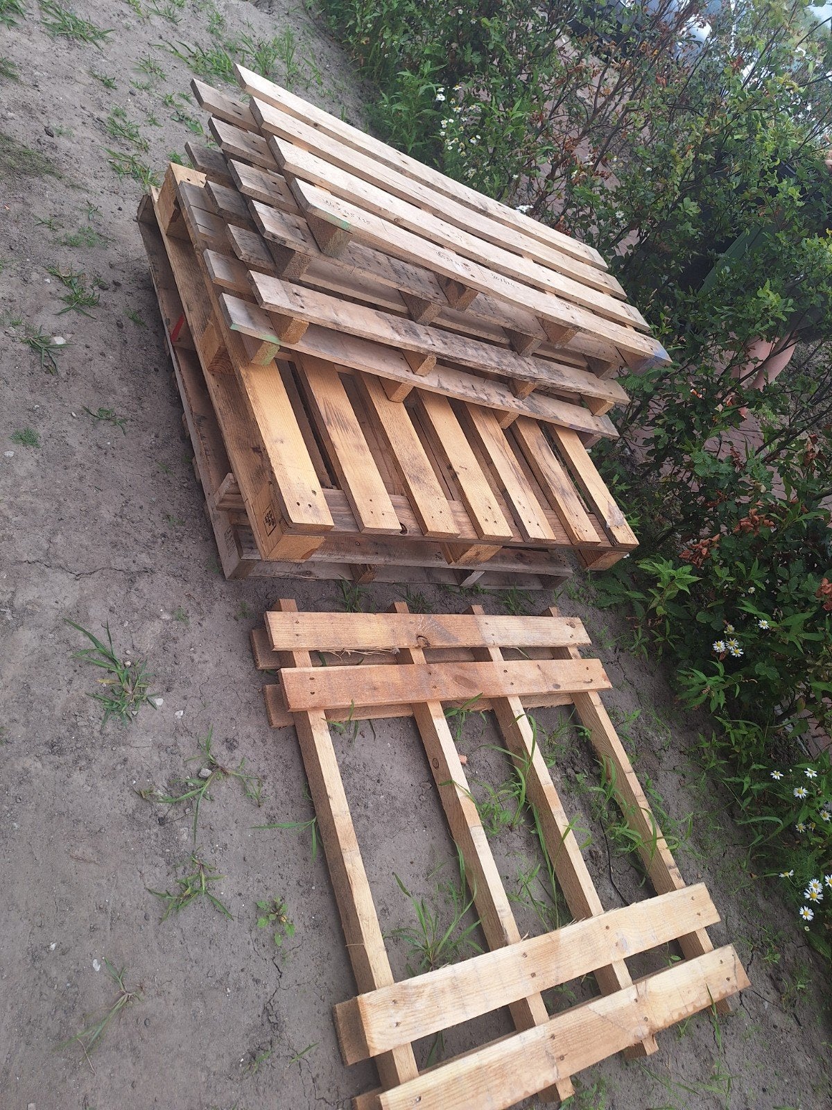 Pallets, Ophalen, Overige houtsoorten, Minder dan 200 cm, Pallet