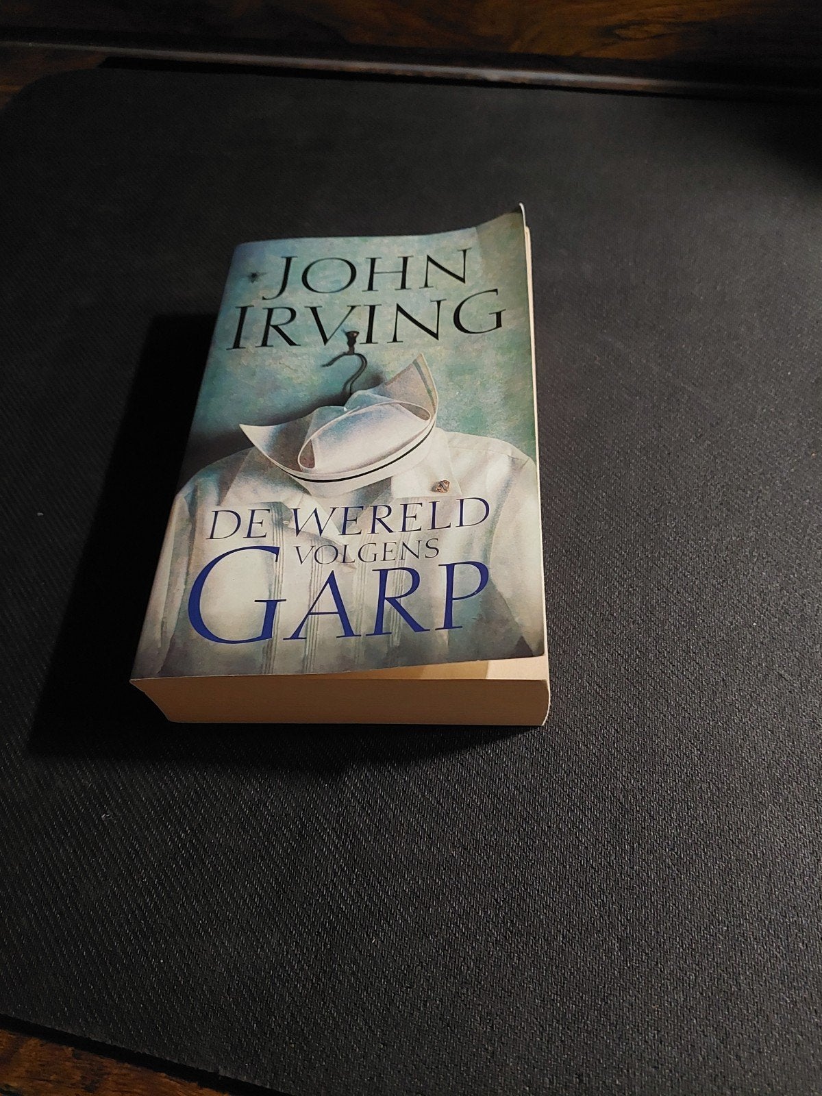 De wereld volgens Garp - John Irving, Boeken, Ophalen of Verzenden, Gelezen, John Irving, Amerika