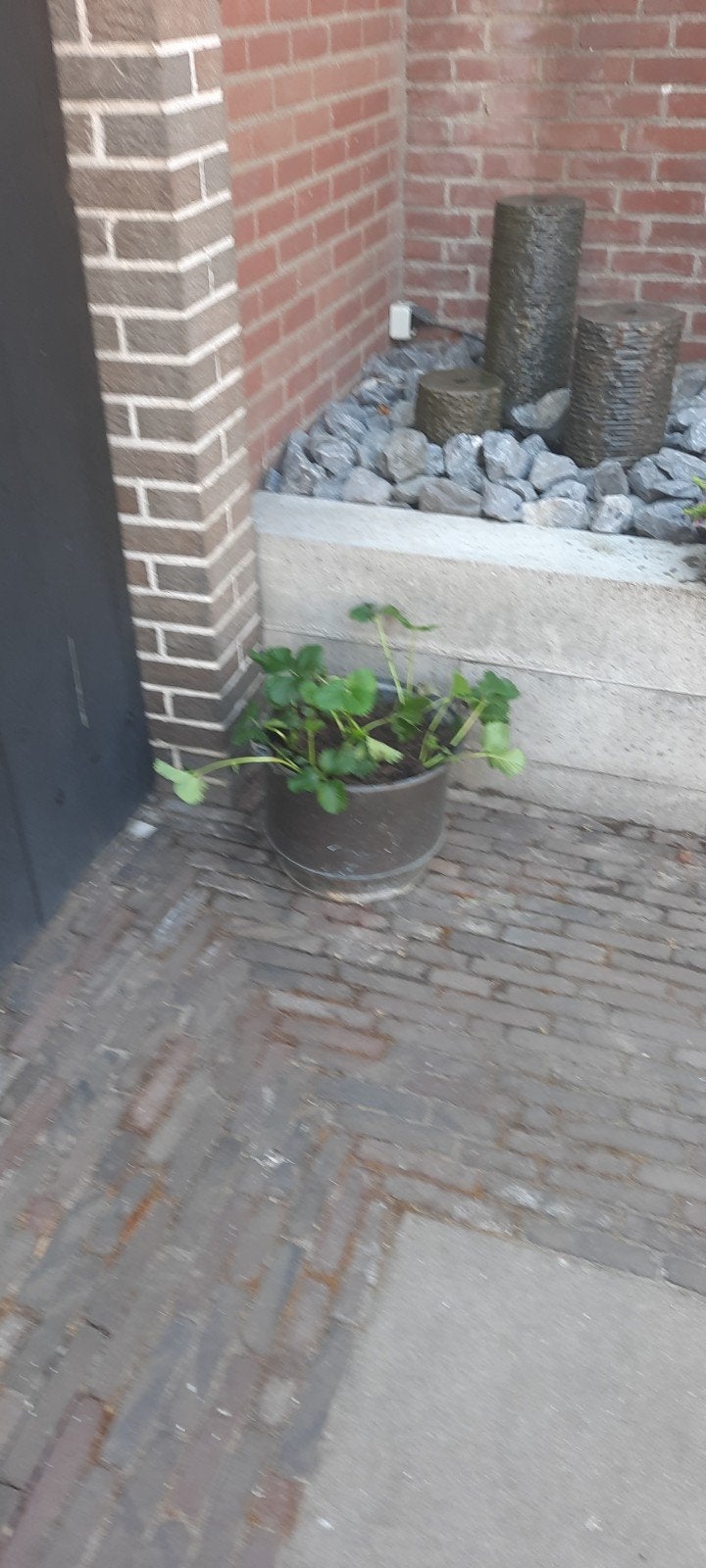 waterpartij, compleet met werkende pomp en keien, Tuin en Terras, Tegels en Klinkers, Ophalen, Gebruikt, Beton, Klinkers