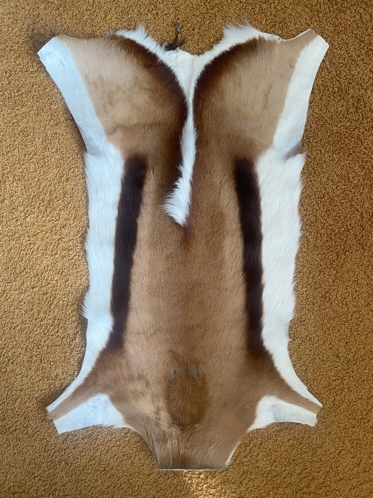 Prachtige Springbok Huid - Decoratief Vachtkleed, Huis en Inrichting, Gebruikt, Meerkleurig, Ophalen of Verzenden, Landelijk