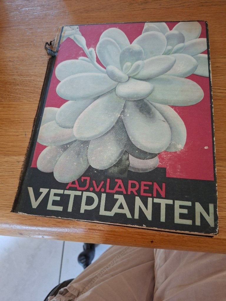 A.J. van Laren, vetplanten, Ophalen of Verzenden
