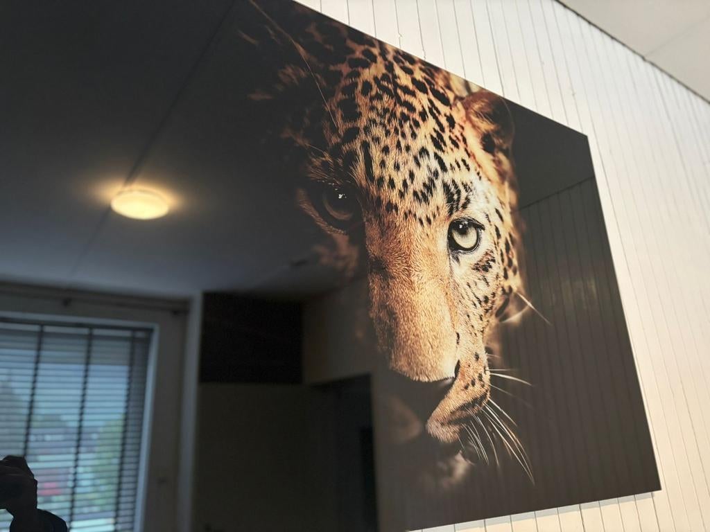 Plexiglas Panter, Ophalen of Verzenden