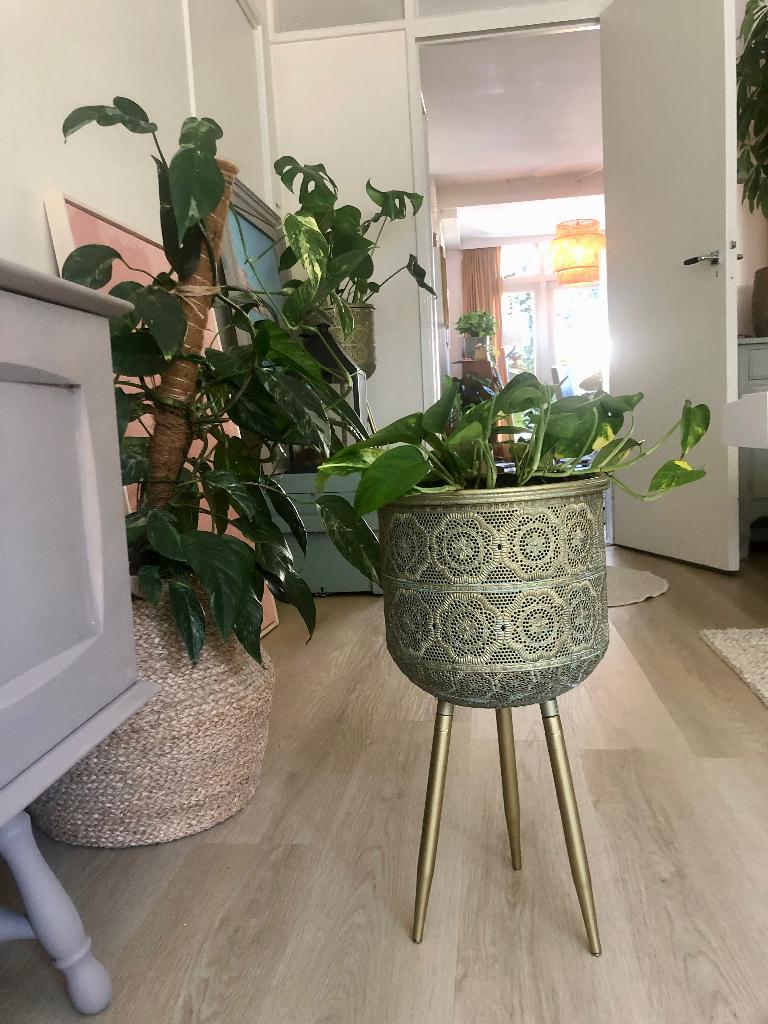 Koperkleurige  bloempot met Epipremnum, Huis en Inrichting, Kamerplanten, Ophalen of Verzenden, In pot, Halfschaduw, Minder dan 100 cm