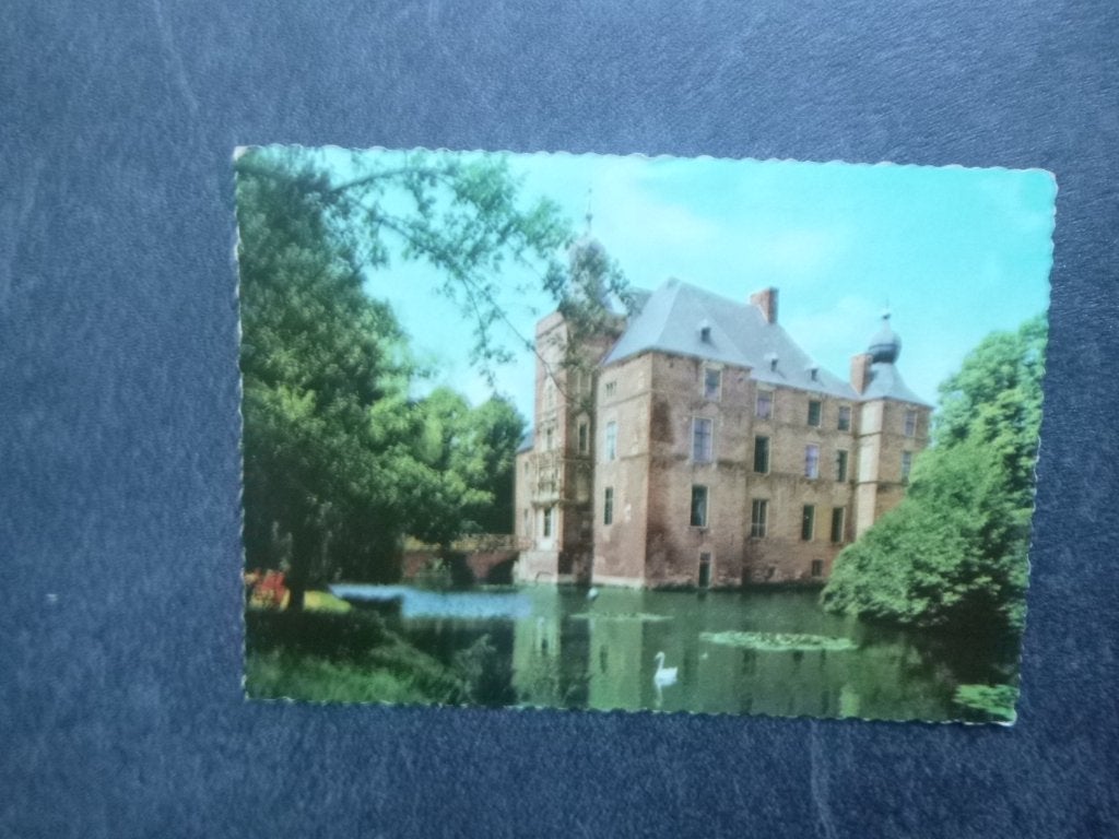 Vaassen, kasteel de Canneburch/zwaan, Verzenden, 1980 tot heden, Ongelopen, Gelderland