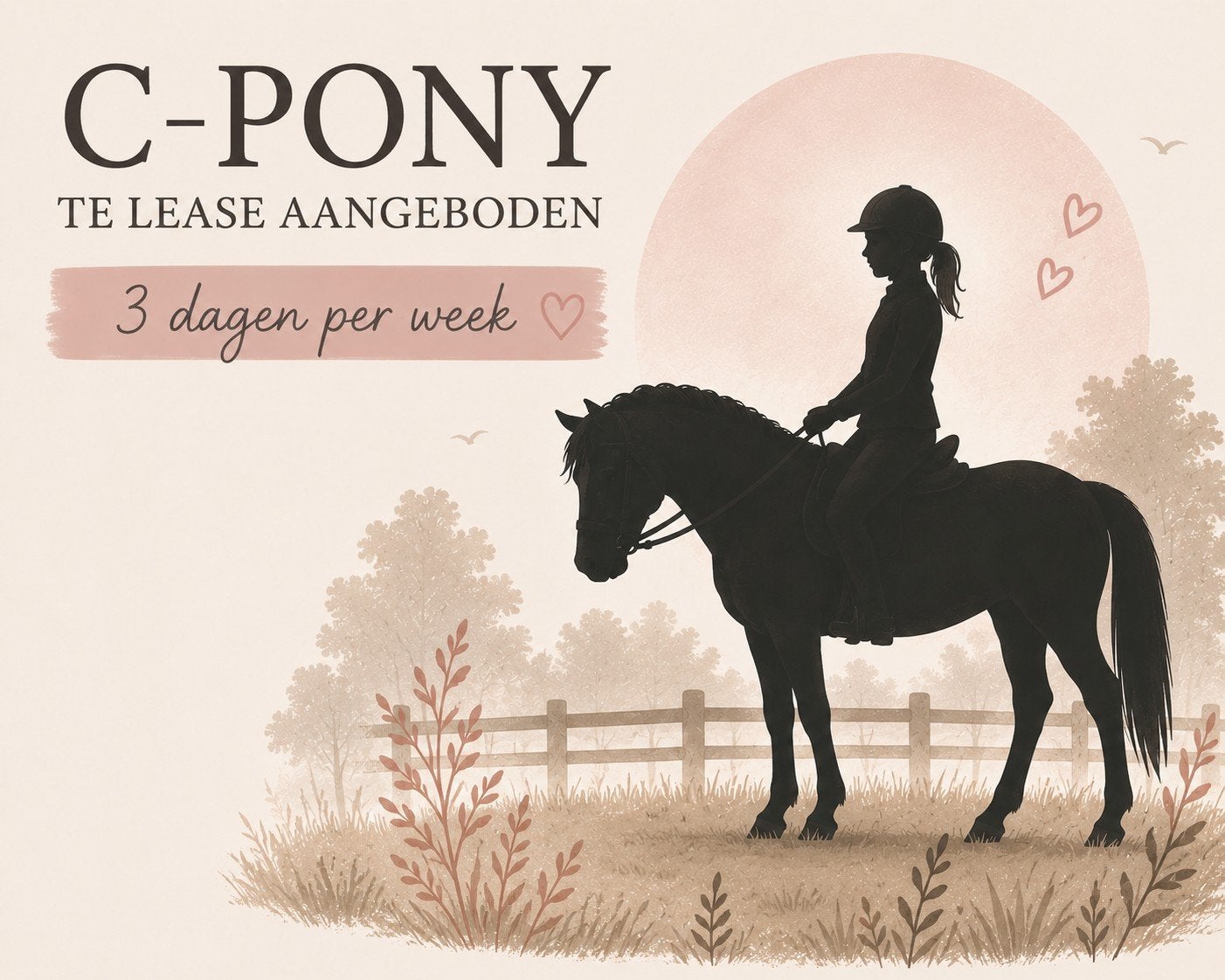 C pony te lease zoekt serieuze ruiter., Dieren en Toebehoren, Paarden en Pony's | Verzorgingsproducten, Ophalen