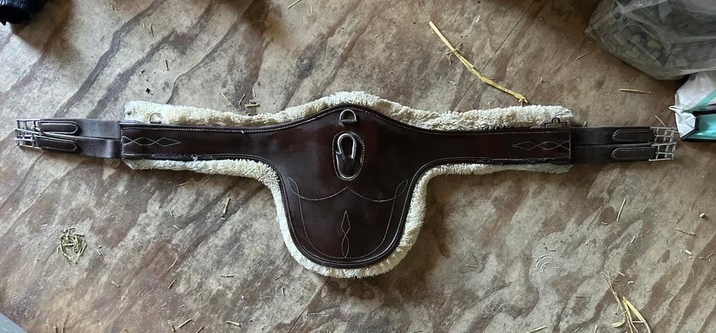 Kentucky bontsingel, Dieren en Toebehoren, Ophalen of Verzenden, Gebruikt, Springen