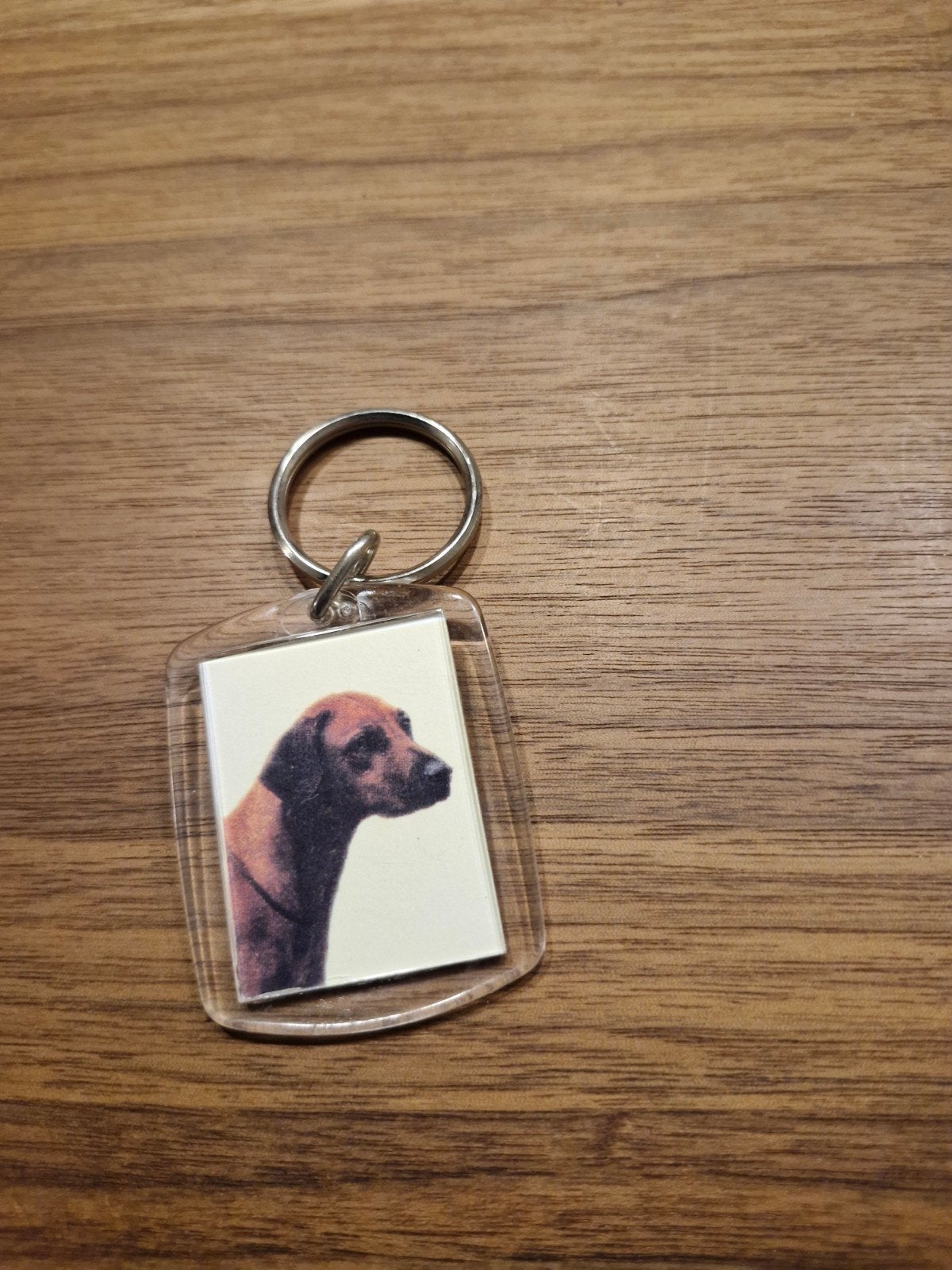 562 Sleutelhanger Hond Rhodeaian Ridgeback, Ophalen of Verzenden, Gebruikt, Dier of Natuur